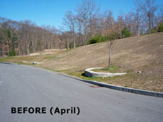 Professional Hydroseeding