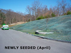 Professional Hydroseeding