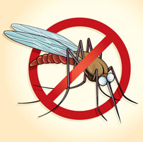 Mosquito Control Services