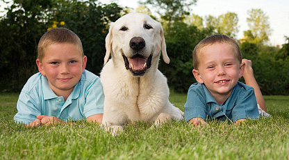 Lawn fertilization safe enough for the kids and pets to play on.