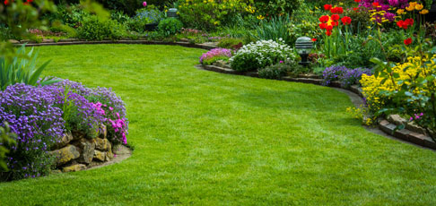 Lawn Fertilization Programs