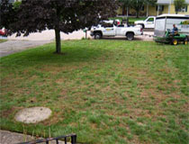 Damaged Lawn Before