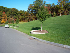 hydroseeding in rhode island