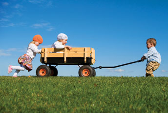 safe organic lawn care for children