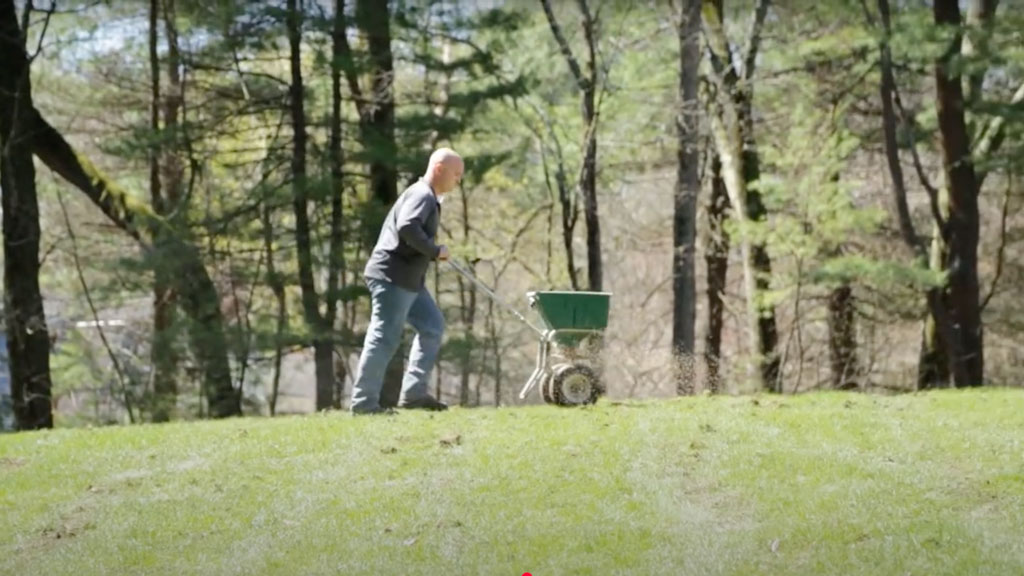 Aeration Overseeding in Massachusetts